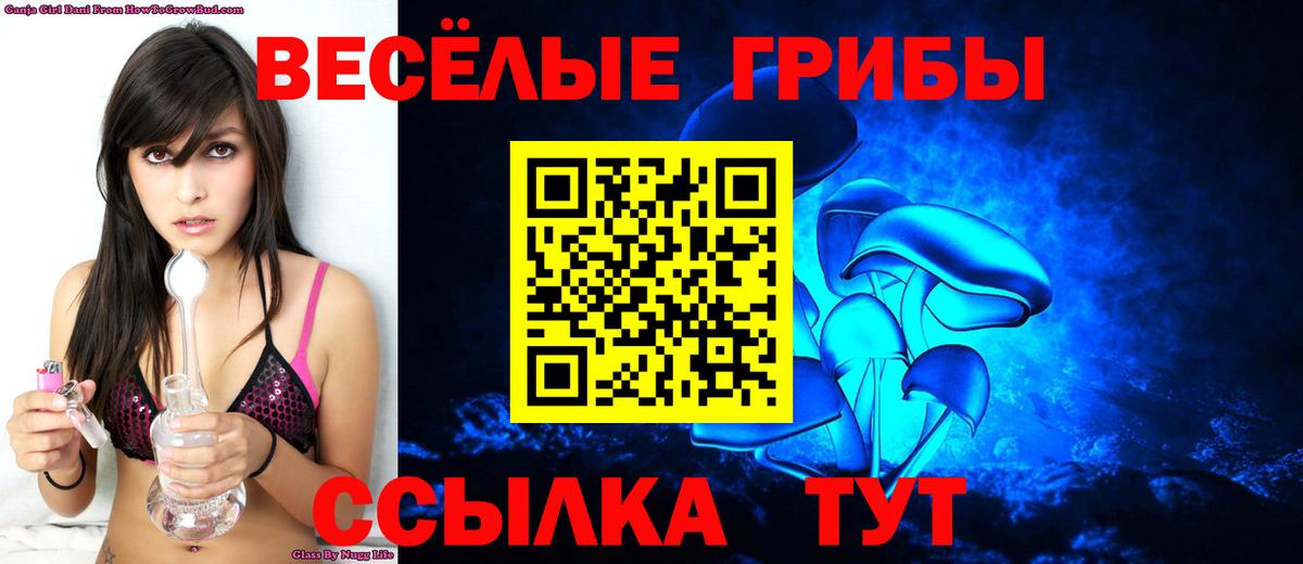 Спасск-Дальний  Галлюциногенные грибы Psilocybe  Вход с VPN 